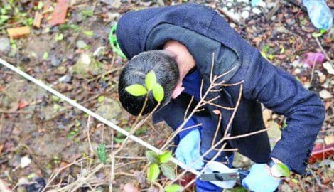 Ubistvo i samoubistvo: Crvena ruža između dva beživotna tijela Ubistvo i samoubistvo: Crvena ruža između dva beživotna tijela