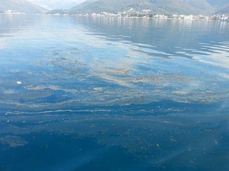Spriječeno širenje naftne mrlje u tivatskom zalivu Spriječeno širenje naftne mrlje u tivatskom zalivu