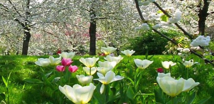 Što godišnje doba u kome ste rođeni govori o vama Što godišnje doba u kome ste rođeni govori o vama