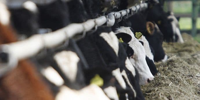 Otvoren poziv za predaju zahtjeva za premije u stočarskoj proizvodnji Otvoren poziv za predaju zahtjeva za premije u stočarskoj proizvodnji