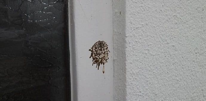 Najoštrija sankcije zbog napada na bogomolju u Sutivanu Najoštrija sankcije zbog napada na bogomolju u Sutivanu