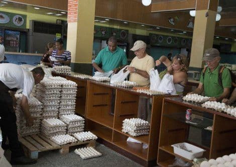 Kuba: Osuđeni na do 15 godina zbog prodaje jaja na crno Kuba: Osuđeni na do 15 godina zbog prodaje jaja na crno