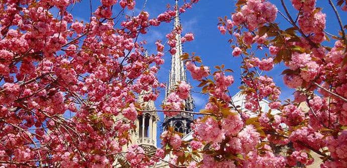 Proljeće je svake godine sve kraće Proljeće je svake godine sve kraće