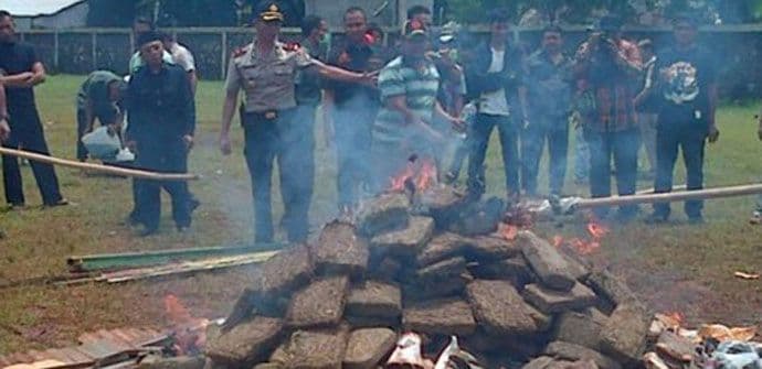 Policija zapalila tri tone marihuane i uz vjetar „naduvala“ cijeli grad Policija zapalila tri tone marihuane i uz vjetar „naduvala“ cijeli grad