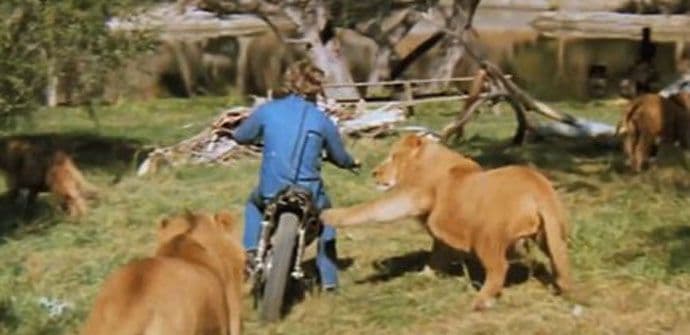 Glumci završili snimanje sa šavovima, slomljenim kostima i gangrenom (VIDEO) Glumci završili snimanje sa šavovima, slomljenim kostima i gangrenom (VIDEO)