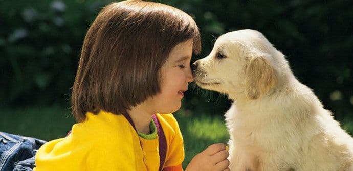 Naučnici kažu: Ako želite da ostanete zdravi, ljubite se više sa svojim psom Naučnici kažu: Ako želite da ostanete zdravi, ljubite se više sa svojim psom