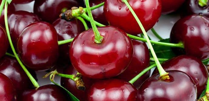 Namirnice koje najviše umaraju organizam Namirnice koje najviše umaraju organizam