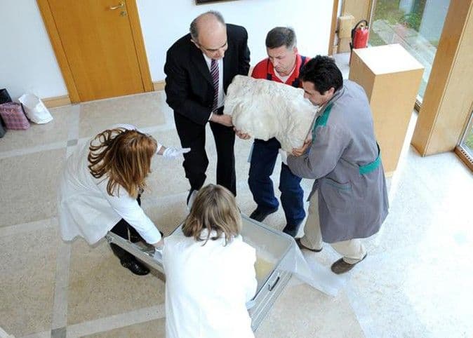 "Da nije bilo Tita, ne bi bilo Hrvatske" "Da nije bilo Tita, ne bi bilo Hrvatske"