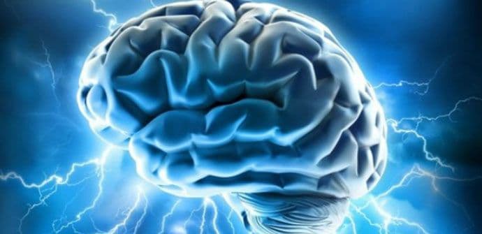 Dijeta koja smanjuje rizik od Alchajmerove bolesti Dijeta koja smanjuje rizik od Alchajmerove bolesti