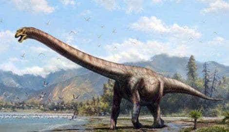 Otkrivena najveća vrsta dinosaurusa koja je ikada hodala Zemljom (VIDEO) Otkrivena najveća vrsta dinosaurusa koja je ikada hodala Zemljom (VIDEO)