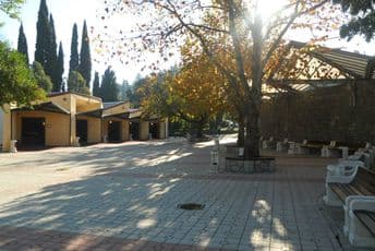 Podgorica: Građani parkiraju vozila na grobnicama Podgorica: Građani parkiraju vozila na grobnicama