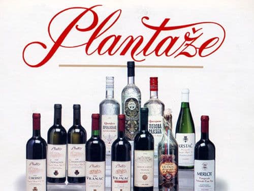 Neto dobit Plantaža smanjena 36% Neto dobit Plantaža smanjena 36%