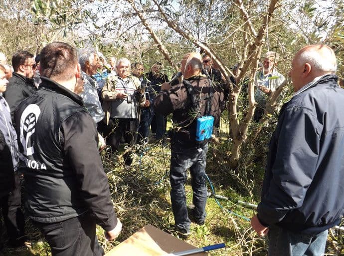 Barani na Noćnjaku Barani na Noćnjaku