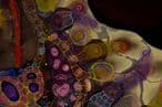 551bf5a8-032c-4376-aef7-184e5c338451-5.jpg