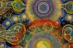 551bf5ab-059c-42be-a201-1bd85c338451-6.jpg