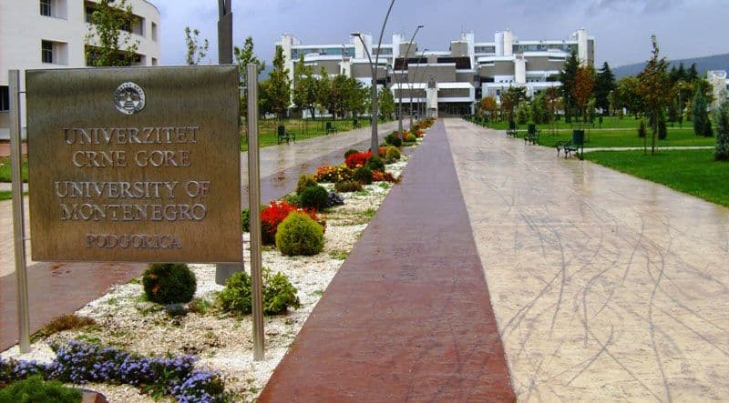 Pavićević: Studentima potrebna podrška cijelog društva Pavićević: Studentima potrebna podrška cijelog društva