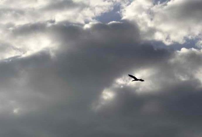 Sjutra oblačno, na sjeveru snijeg Sjutra oblačno, na sjeveru snijeg