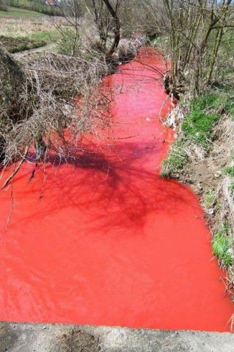 Građani uznemireni: Pogledajte kako izgleda rijeka Kubršnica Građani uznemireni: Pogledajte kako izgleda rijeka Kubršnica