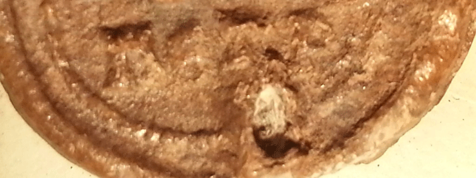 EKSKLUZIVNO: Zagarčanin: Pronađen pečat arhonta Petra! EKSKLUZIVNO: Zagarčanin: Pronađen pečat arhonta Petra!