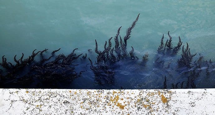 Viktor Ivančić : Bilježnica Robija K.: Deseti travnja Viktor Ivančić : Bilježnica Robija K.: Deseti travnja