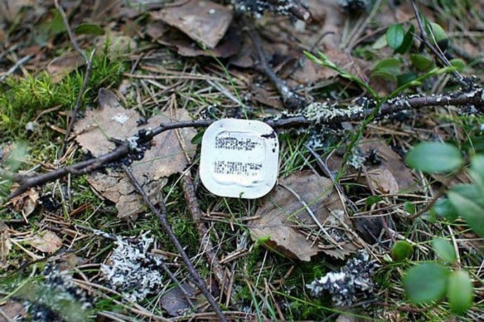 Počela osma kampanja vakcinacije lisica protiv bjesnila Počela osma kampanja vakcinacije lisica protiv bjesnila