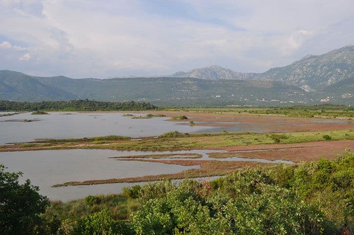 CZIP: Ekološki časovi za djecu iz Podgorice na Tivatskim solilima CZIP: Ekološki časovi za djecu iz Podgorice na Tivatskim solilima