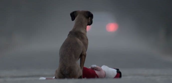 Video koji ima preko milion pregleda: Pas nije igračka Video koji ima preko milion pregleda: Pas nije igračka