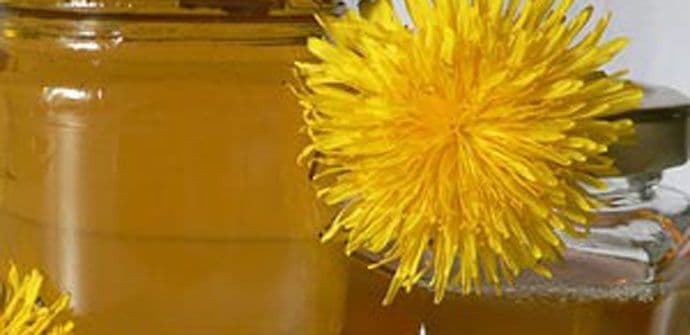 Džem od maslačka Džem od maslačka