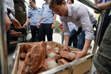 IZNENAĐENJE IZ PRAISTORIJE: Popravljali ulicu, pronašli 43 jajeta dinosaurusa IZNENAĐENJE IZ PRAISTORIJE: Popravljali ulicu, pronašli 43 jajeta dinosaurusa
