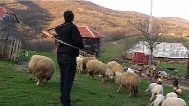 Ona jedina živi u selu: "Nigdje ne idem bez puške" Ona jedina živi u selu: "Nigdje ne idem bez puške"
