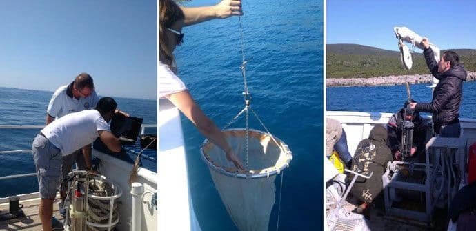 Sjutra prezentacija projekta „Joint Actions for Sea Polution Prevention“ – JASPPer” Sjutra prezentacija projekta „Joint Actions for Sea Polution Prevention“ – JASPPer”