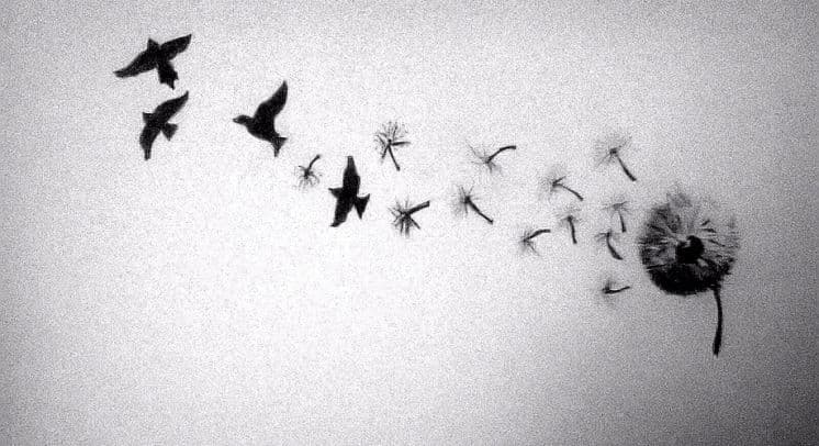 Tijana Damjanović: Autoritet i sloboda Tijana Damjanović: Autoritet i sloboda