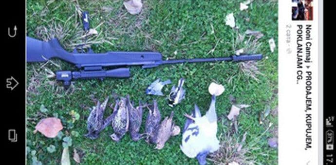 Da bi pušku bolje prodao fotošopirao ubijene ptice Da bi pušku bolje prodao fotošopirao ubijene ptice