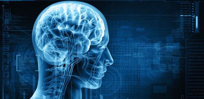 Naučnici napravili "GPS mapu" mozga Naučnici napravili "GPS mapu" mozga