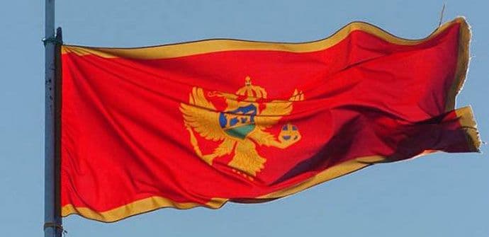 CKPD „Nikola I“: Usvojen predlog o prestanku članstva Bodinu Radojeviću i Branislavu Sekuliću CKPD „Nikola I“: Usvojen predlog o prestanku članstva Bodinu Radojeviću i Branislavu Sekuliću