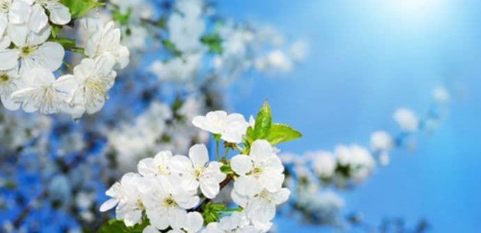 Ljubavni horoskop za maj 2015 Ljubavni horoskop za maj 2015