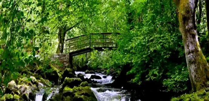 Video snimak koji pomaže ljudima koji pate od insomnije Video snimak koji pomaže ljudima koji pate od insomnije