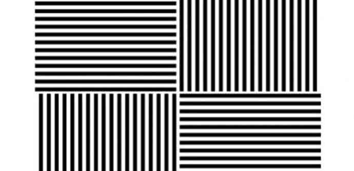 Ova slika "lomi mozak" (VIDEO) Ova slika "lomi mozak" (VIDEO)