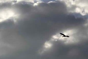 Pogledajte kakvo nas vrijeme očekuje danas Pogledajte kakvo nas vrijeme očekuje danas