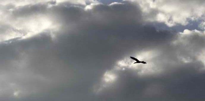 Danas promjenljivo, do 28 stepeni Danas promjenljivo, do 28 stepeni