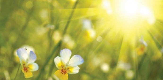 Sjutra do 27 stepeni   Sjutra do 27 stepeni