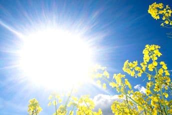Danas sunčano i toplo, najviša dnevna temperatura 34 stepena