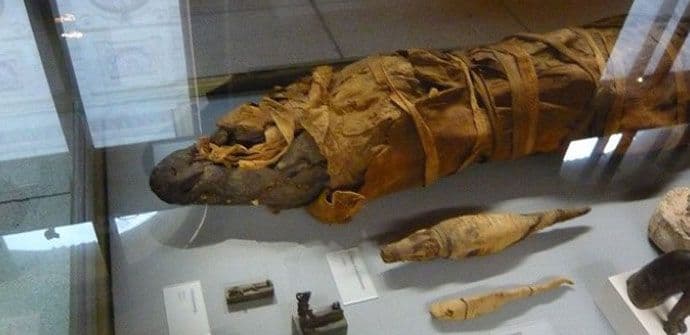 Otkrivena drevna tajna životinjskih mumija Otkrivena drevna tajna životinjskih mumija