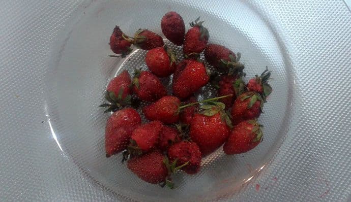 Zna li neko zašto jagode ovako izgledaju nakon dva dana? Zna li neko zašto jagode ovako izgledaju nakon dva dana?