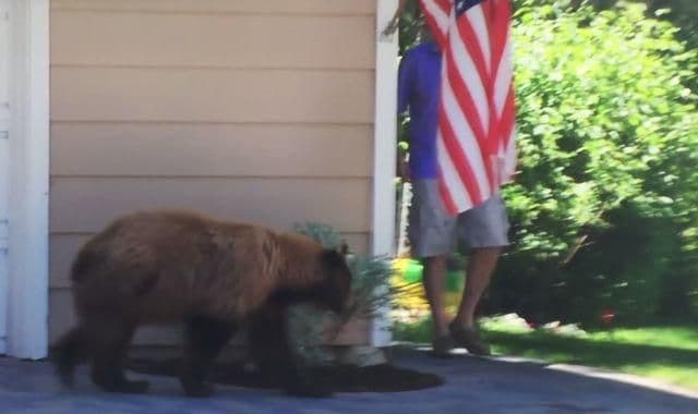 Evo šta se desi kad se čovjek sudari s medvjedom Evo šta se desi kad se čovjek sudari s medvjedom