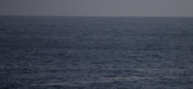 Hrabri policajci van dužnosti spasili Beograđanina od utapanja Hrabri policajci van dužnosti spasili Beograđanina od utapanja