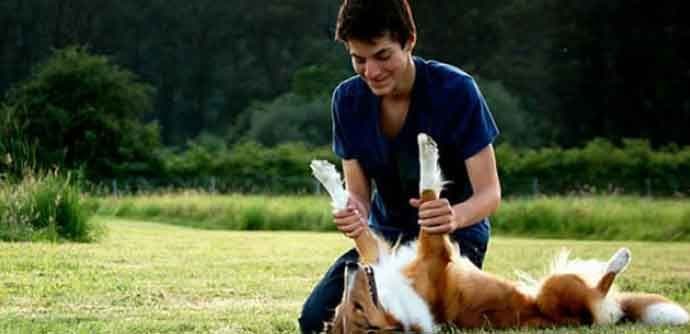 Razlozi zbog kojih je sjajno imati vlasnika psa kao partnera Razlozi zbog kojih je sjajno imati vlasnika psa kao partnera