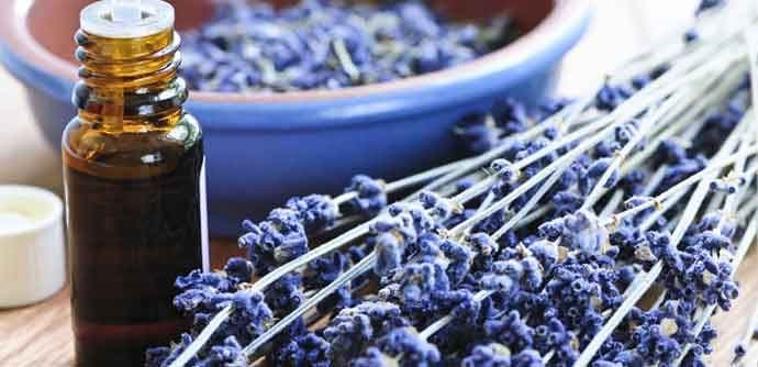 Limunada sa lavandom oslobađa nas glavobolje i anksioznosti Limunada sa lavandom oslobađa nas glavobolje i anksioznosti