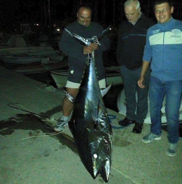 Bar: Ciganović ulovio tunu od 105 kilograma! Bar: Ciganović ulovio tunu od 105 kilograma!