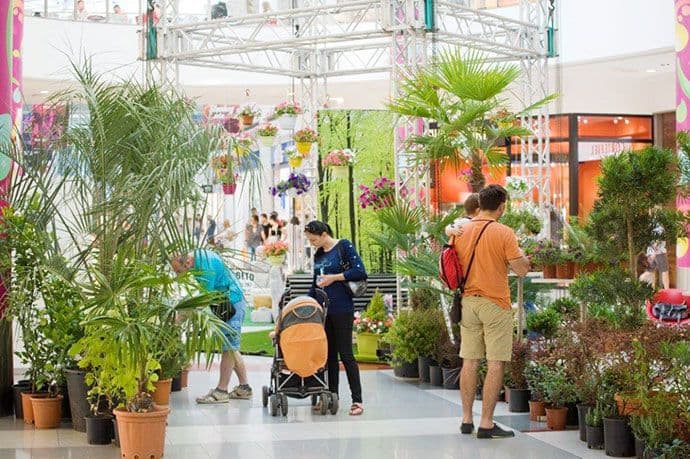 Sajam cvijeća i ukrasnog bilja u Delti u subotu i nedjelju Sajam cvijeća i ukrasnog bilja u Delti u subotu i nedjelju